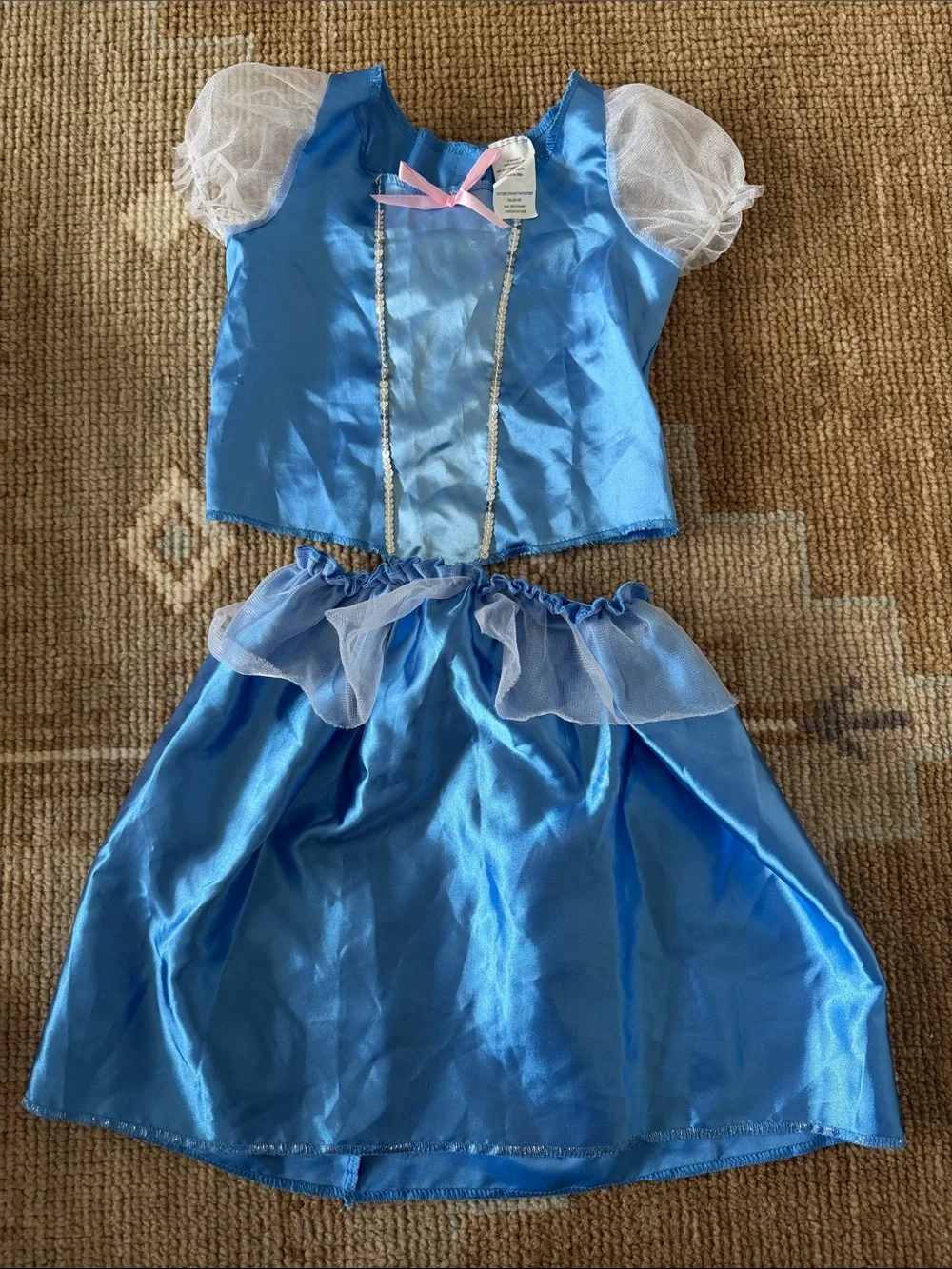 Cinderella Two Piece Costume